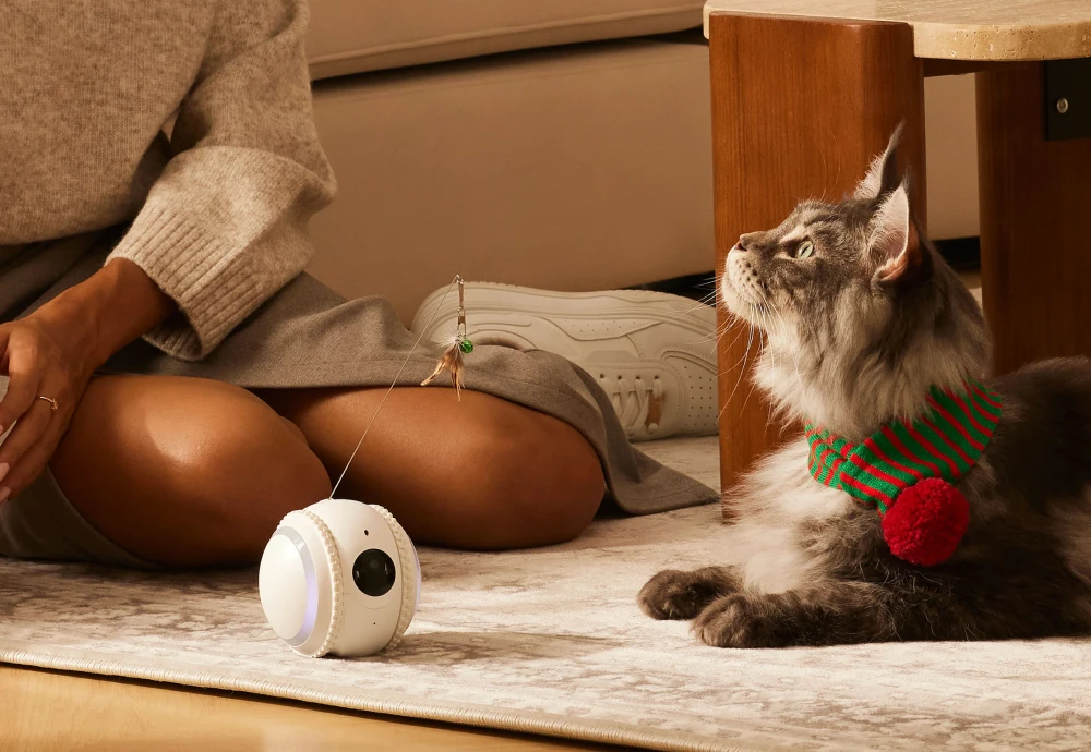 best smart pet camera