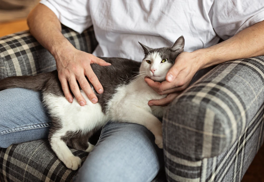 best camera to watch pets