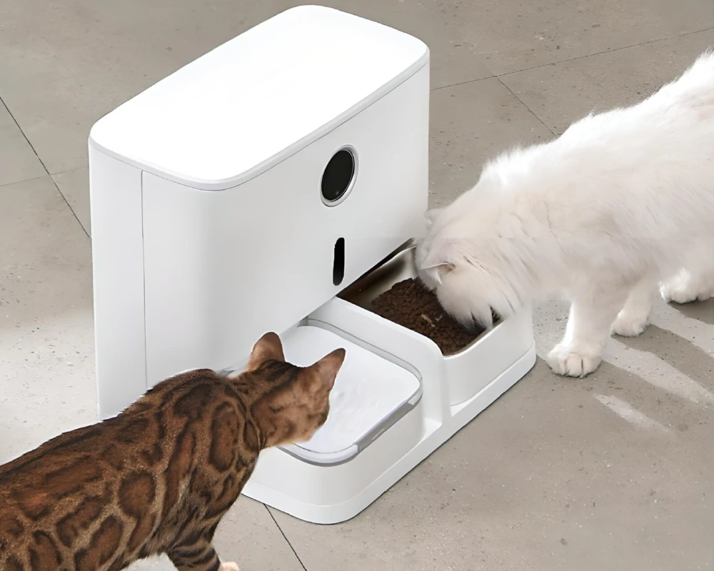 automatic feeder for dogs