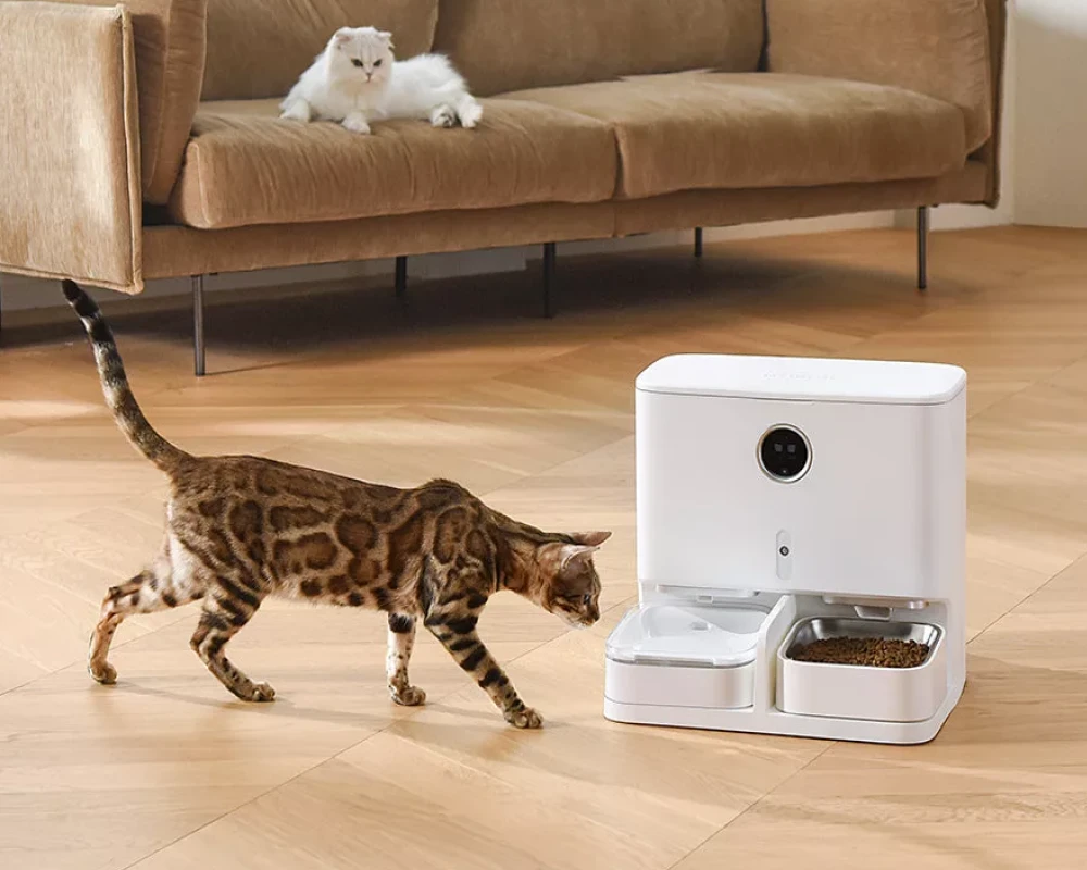 automatic dog feeder and water dispenser