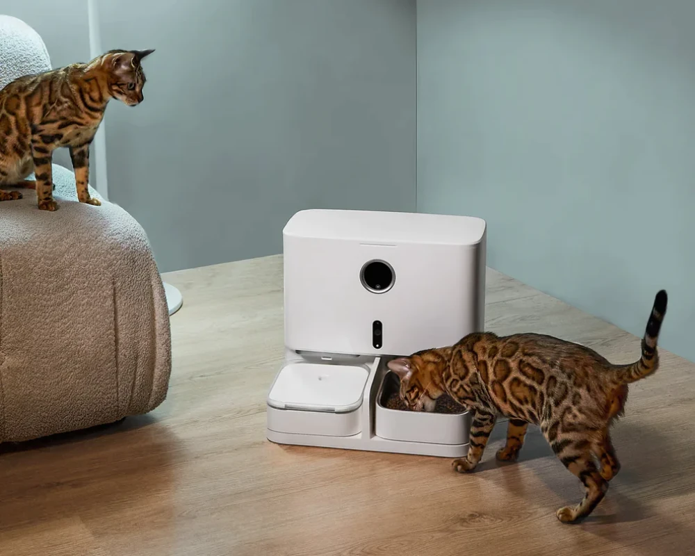 pet automatic water feeder